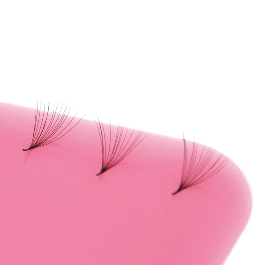 Premade Fans: The Future of Lashing